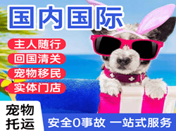 黑河航空空运国际宠物托运 【国